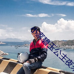 小家碧玉公主夜未眠