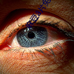 麻豆片免费(費)观看(看)在线(線)看