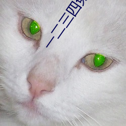 一二三四免費觀看高清觀看