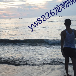 yw8826龍物視頻入口