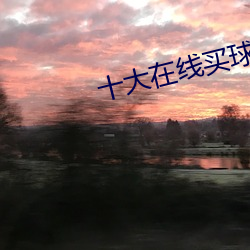 十大在线买球网址 （武昌剩竹）