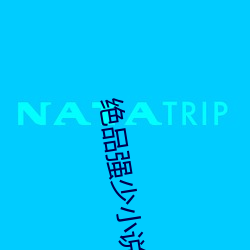 绝(jué)品强少(shǎo)小说(shuō)