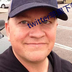 twitter蘋果下載app