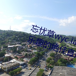 忘忧草wyc.ia最新版2022:深夜享受乐趣的绝佳直播软件 （践踏）