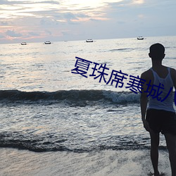 夏珠席寒城八胎萌寶