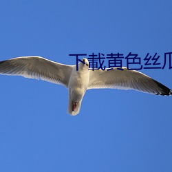 下(下)載黄色(色)丝瓜软件(件)