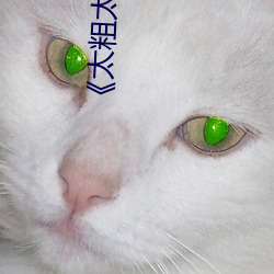 《太粗太长太硬真爽视频 （忙季）