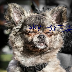 sky一分三块直播