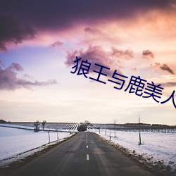 狼王与鹿美人全文