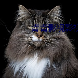 青青影视影视