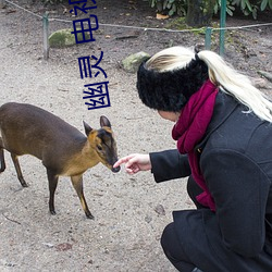 幽灵(靈) 电视剧