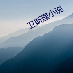 卫斯理小(小)说(說)