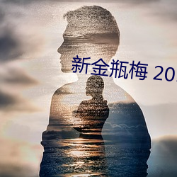 新金瓶梅 2013