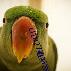 cl1027最新(新)发布