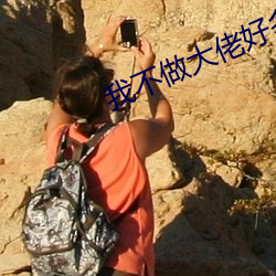 我不做大佬好多年