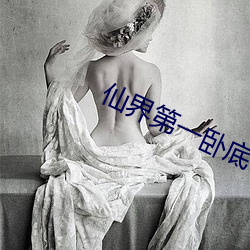 仙界(界)第一卧(臥)底(底)