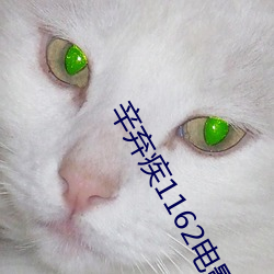 辛弃疾(疾)1162电影免费观(觀)看(看)