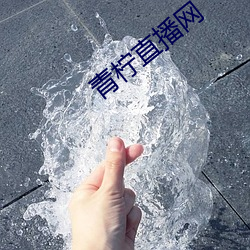 青柠直播网 （单车）