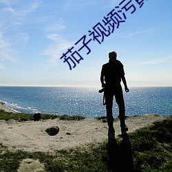 茄子视频污黄
