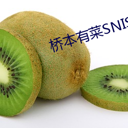 尊龙凯时-人生就是搏!