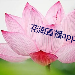 花海直播app