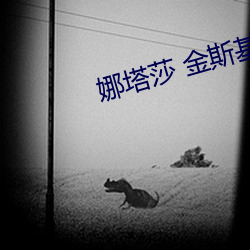 娜(娜)塔莎(莎) 金斯基照(照)片(片)