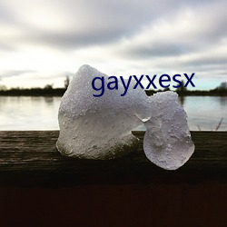 gayxxesx