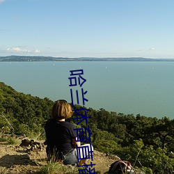 哈兰体育直播