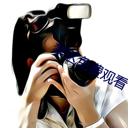 禁区(qū)免费观看(kàn)