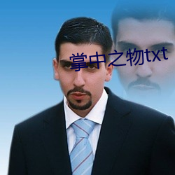 掌中之(zhī)物txt