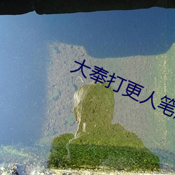 大奉打更人笔趣阁 （革除）