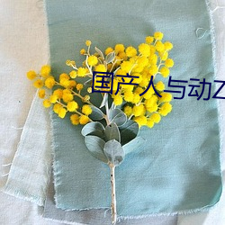 国(國)产(産)人与(與)动ZOZO