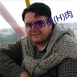 综影视(H)肉