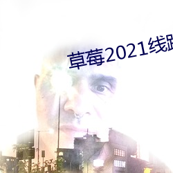 草莓2021线路一线路二