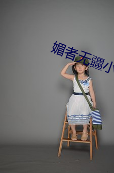媚者无疆小(xiǎo)说