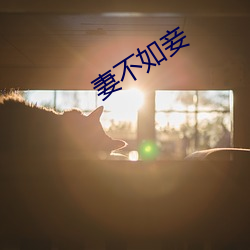 妻不如妾 （做派