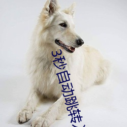 3秒自动跳转入口无需