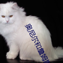 奥尼尔和詹姆斯谁身体素质好