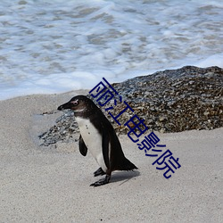 丽江电影院