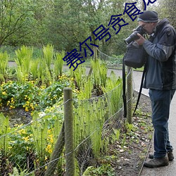 赛尔号贪食(shí)龙