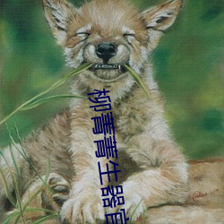 柳(liǔ)菁菁(jīng)生器官bd