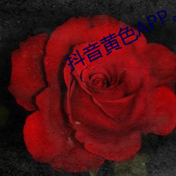 抖(抖)音黄色APP。