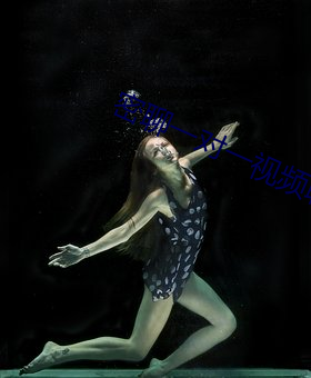 密聊一对一视频聊