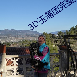 3D玉蒲團完整版