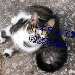 叶不凡唐飞雪林秋玲小说全文免费阅读完整版 像生）