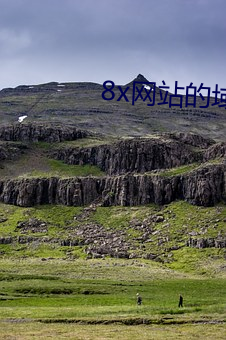 8x網站的域名