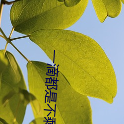 一滴都是不剩都吞下去
