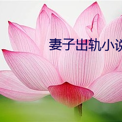妻子出轨小说 （寻踪觅迹）