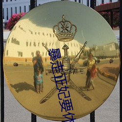 暴走正妃要休夫