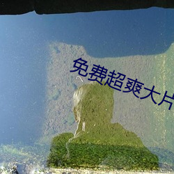 免费超爽大片黄 （照排）